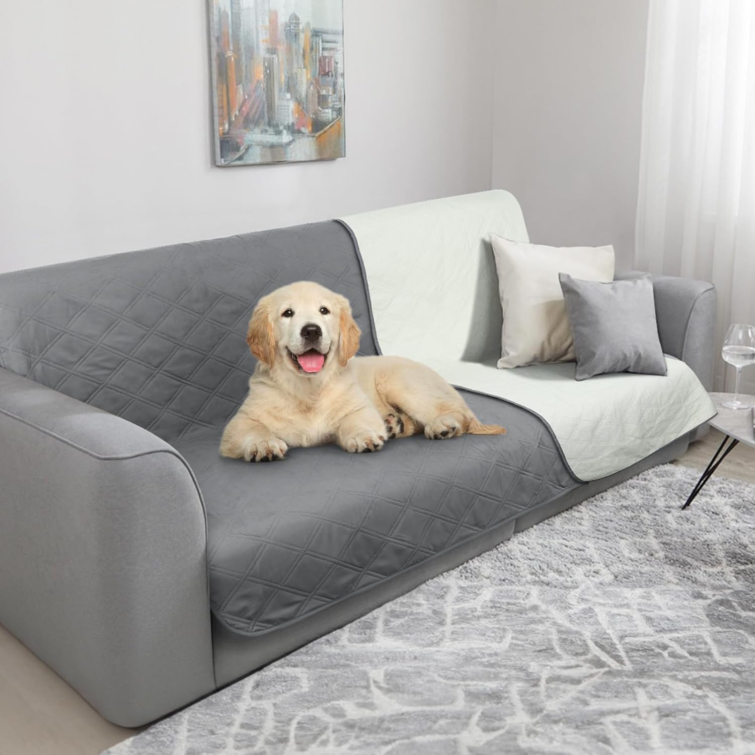 TAIKURA Waterproof Blanket for Dogs, Absorbent Mats for