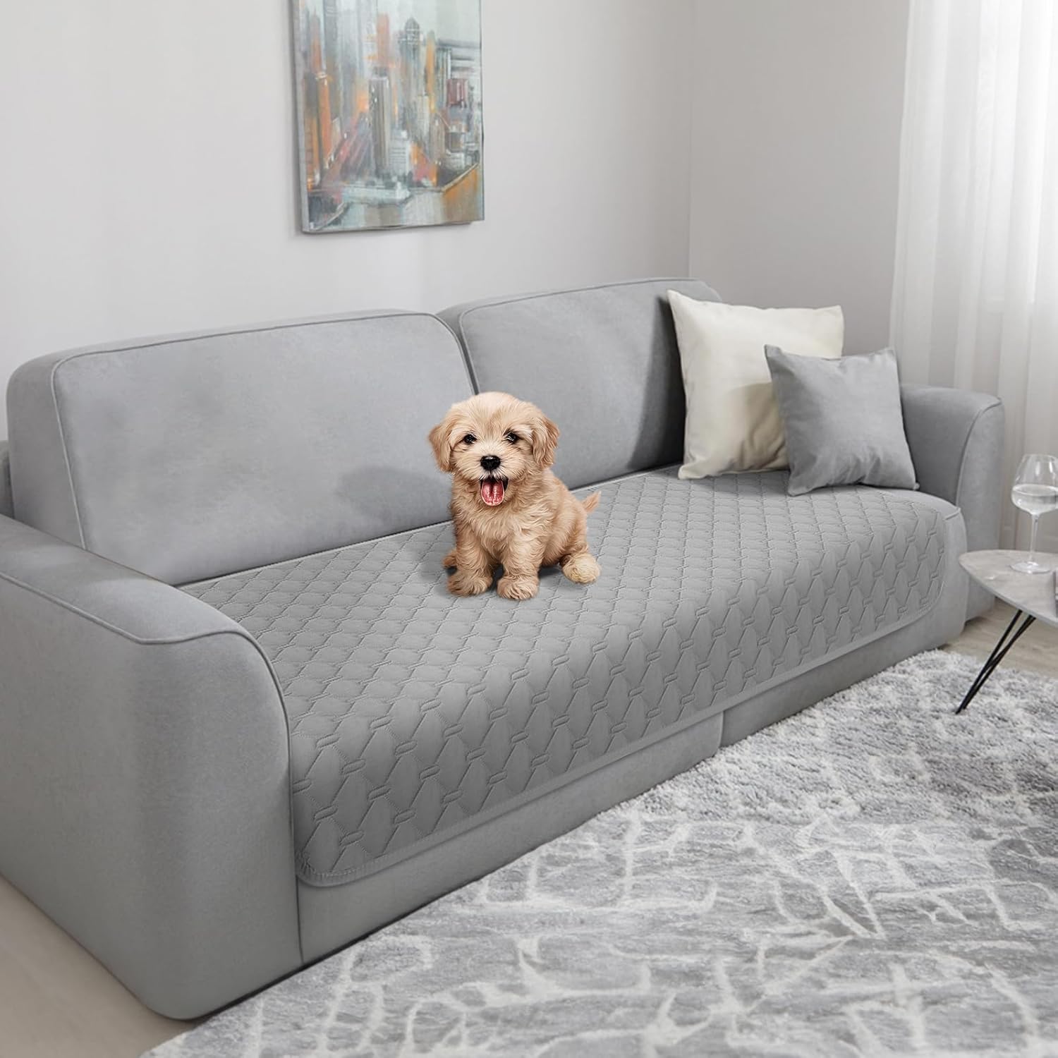 TAIKURA Waterproof Blanket for Dogs, Washable Pet Blanket,