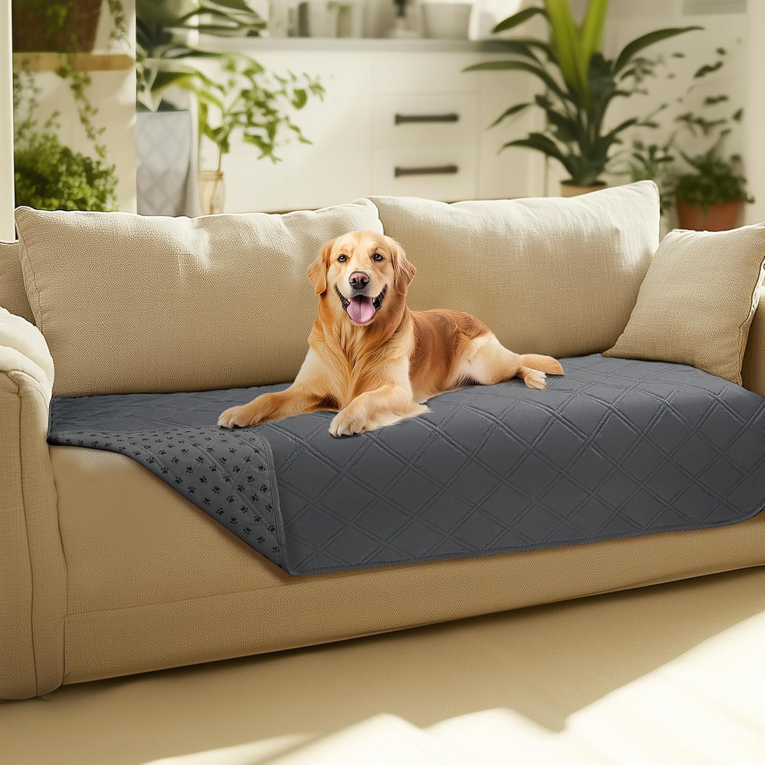 luciphia Dog Sofa Cover, Waterproof Dog Blanket 100%